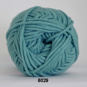 Soon                    fv 6029