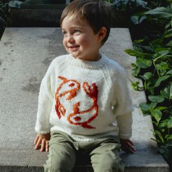 Model 2700 Koi Sweater str. (2-12�r)