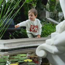Model 2700 Koi Sweater str. (2-12�r)