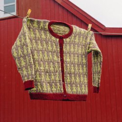 Model 2738 Danser Cardigan B�rn Str. (4-12�r)