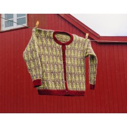 Model 2738 Danser Cardigan Brn Str. (4-12r)